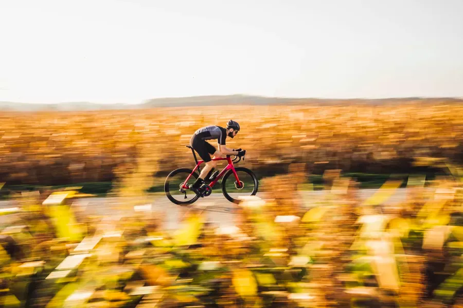 lapierre photo principale.webp