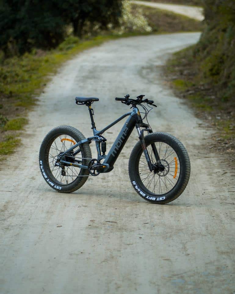 moma bike4
