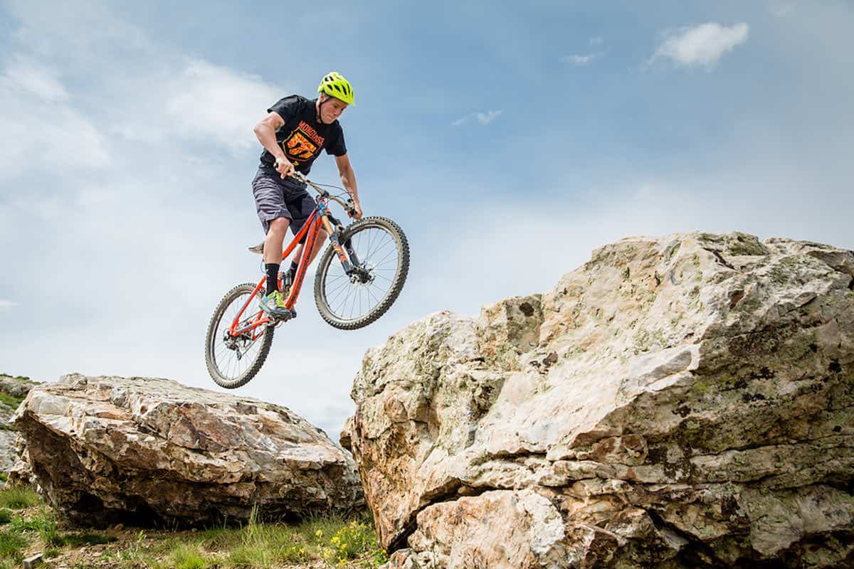 mongoose photo principale.jpeg