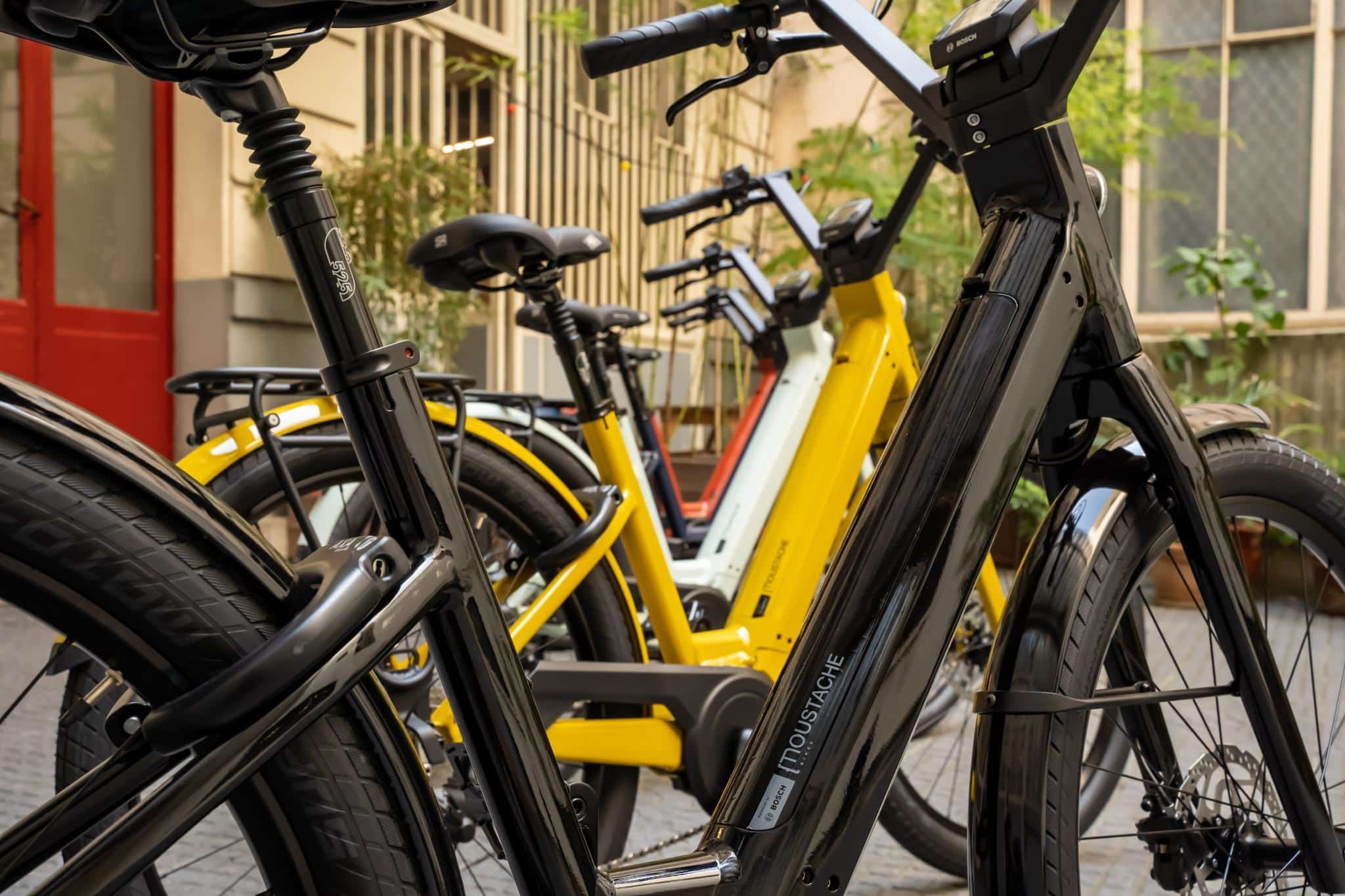 moustache lundi 26 4