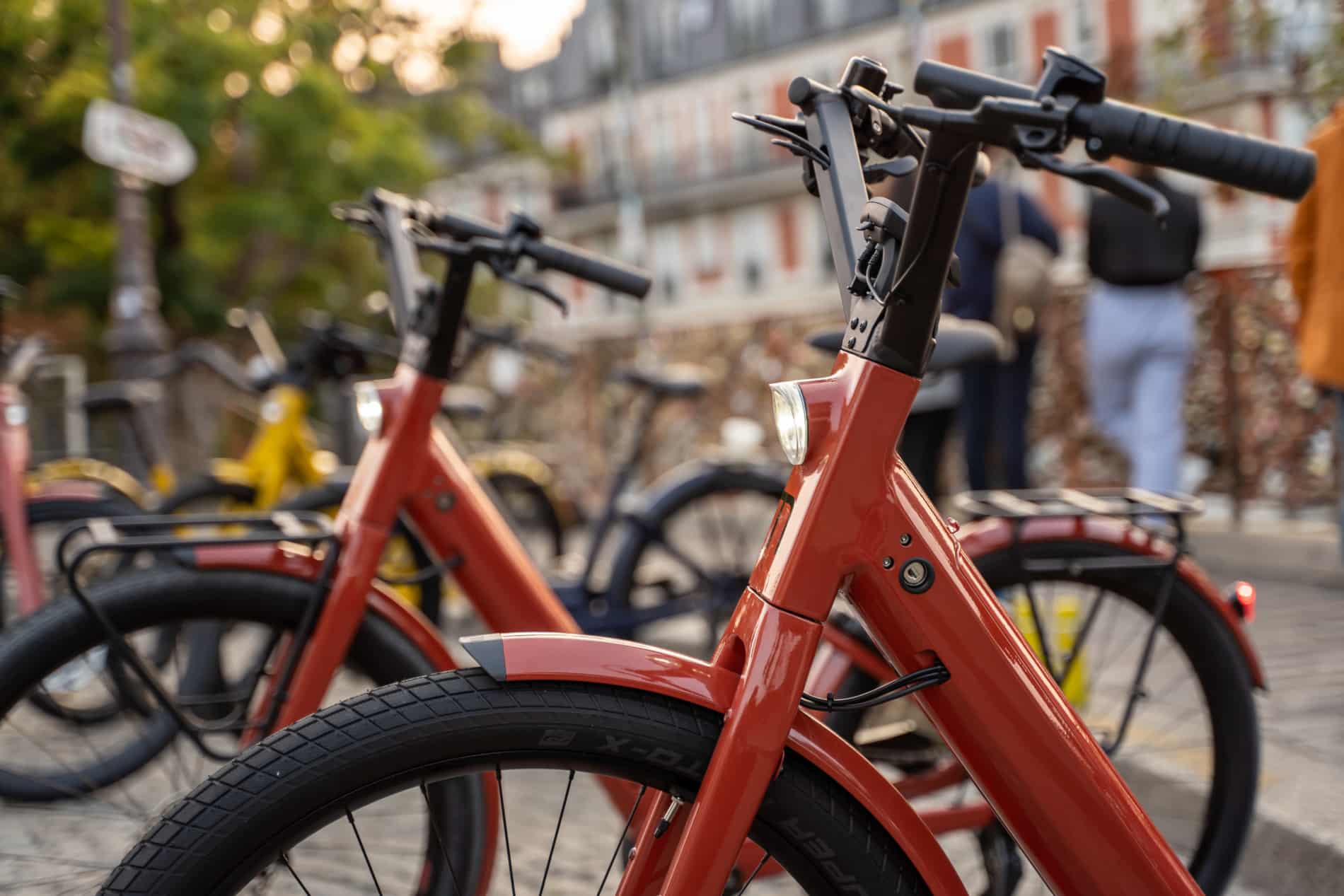 moustache lundi 27 7