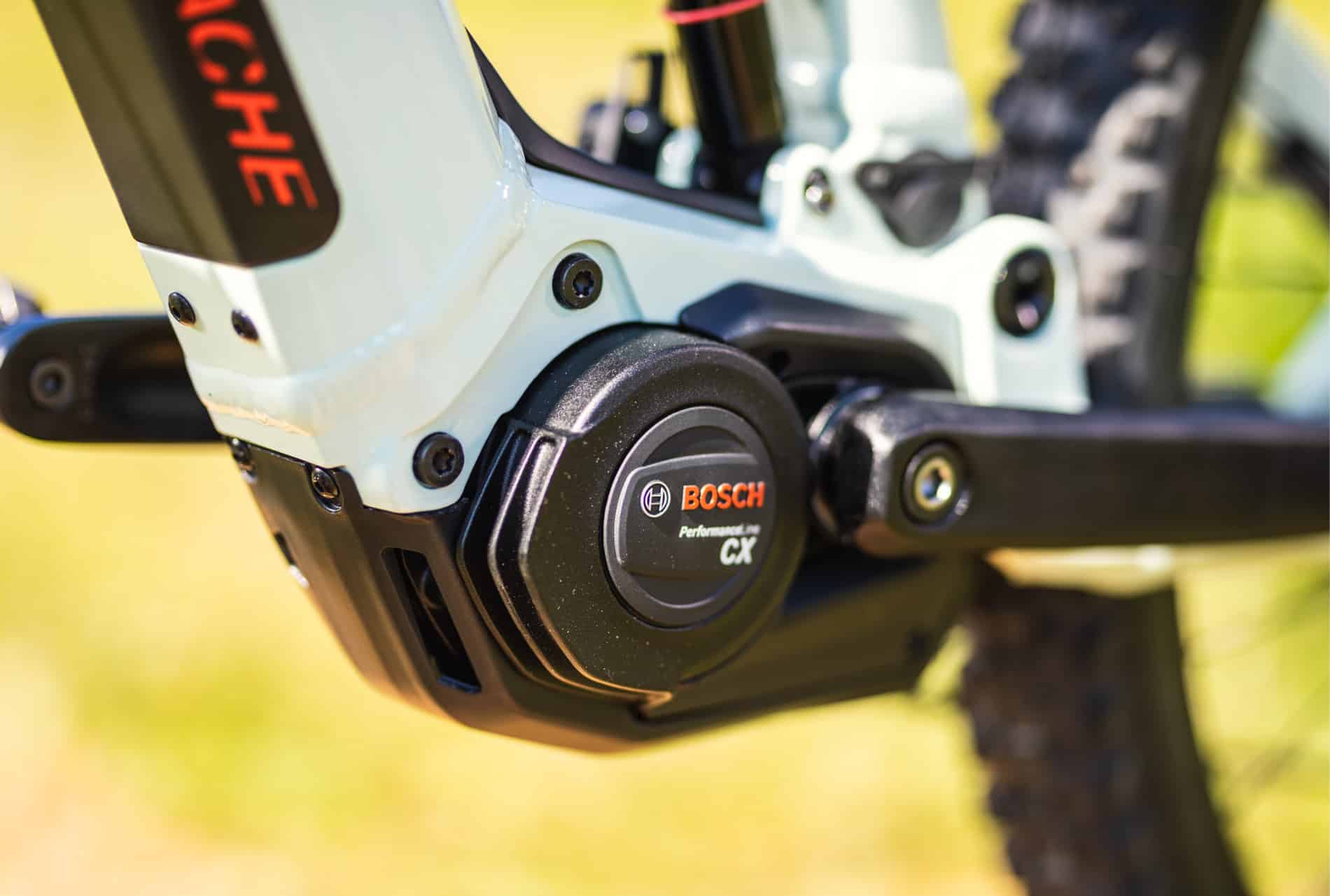 moustache samedi 27 moteur