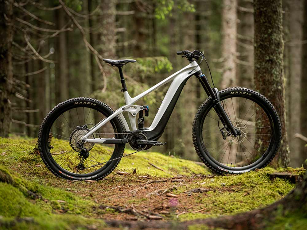 reign e campaign fiftyfifty01