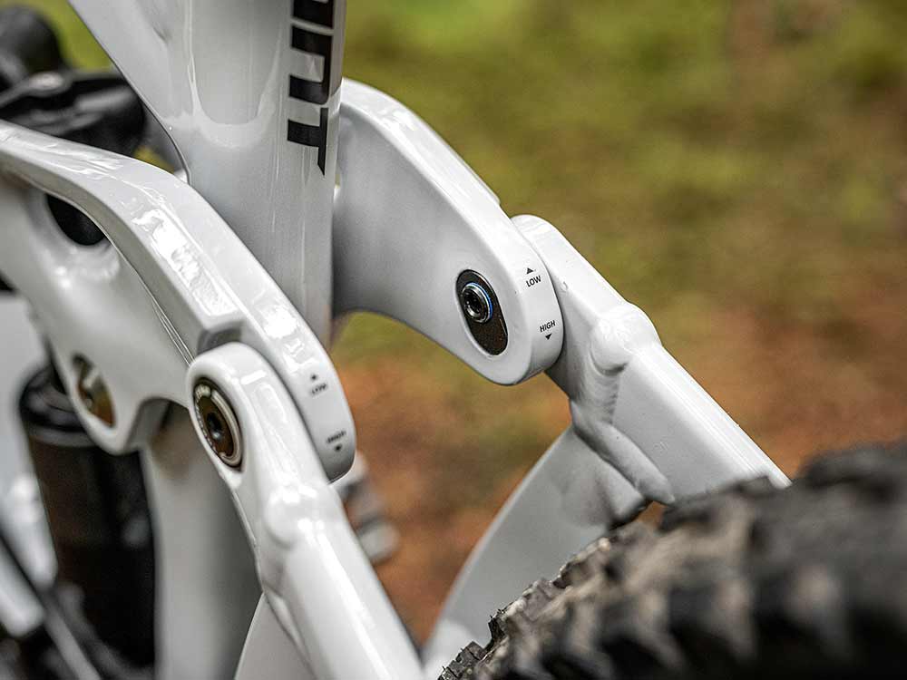 reign e campaign homeblock04