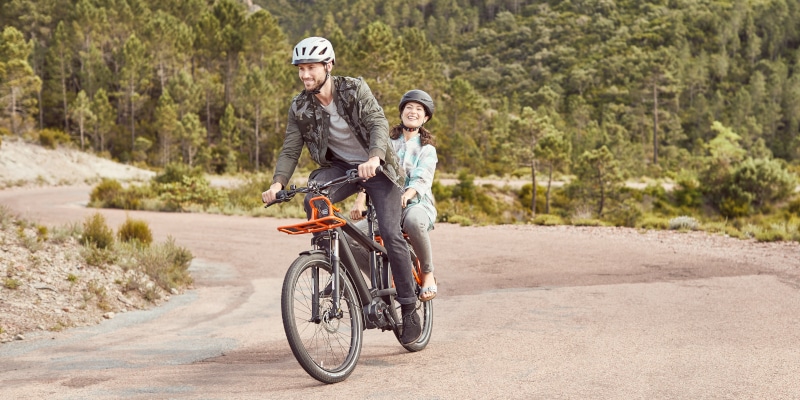 riese muller multicharger