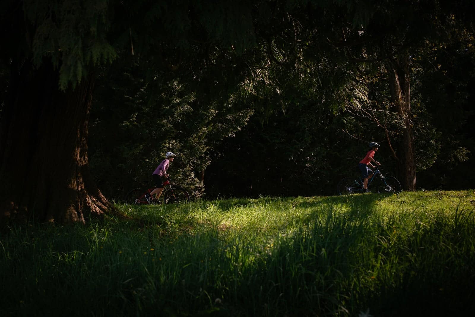 rocky mountain bikes adventure