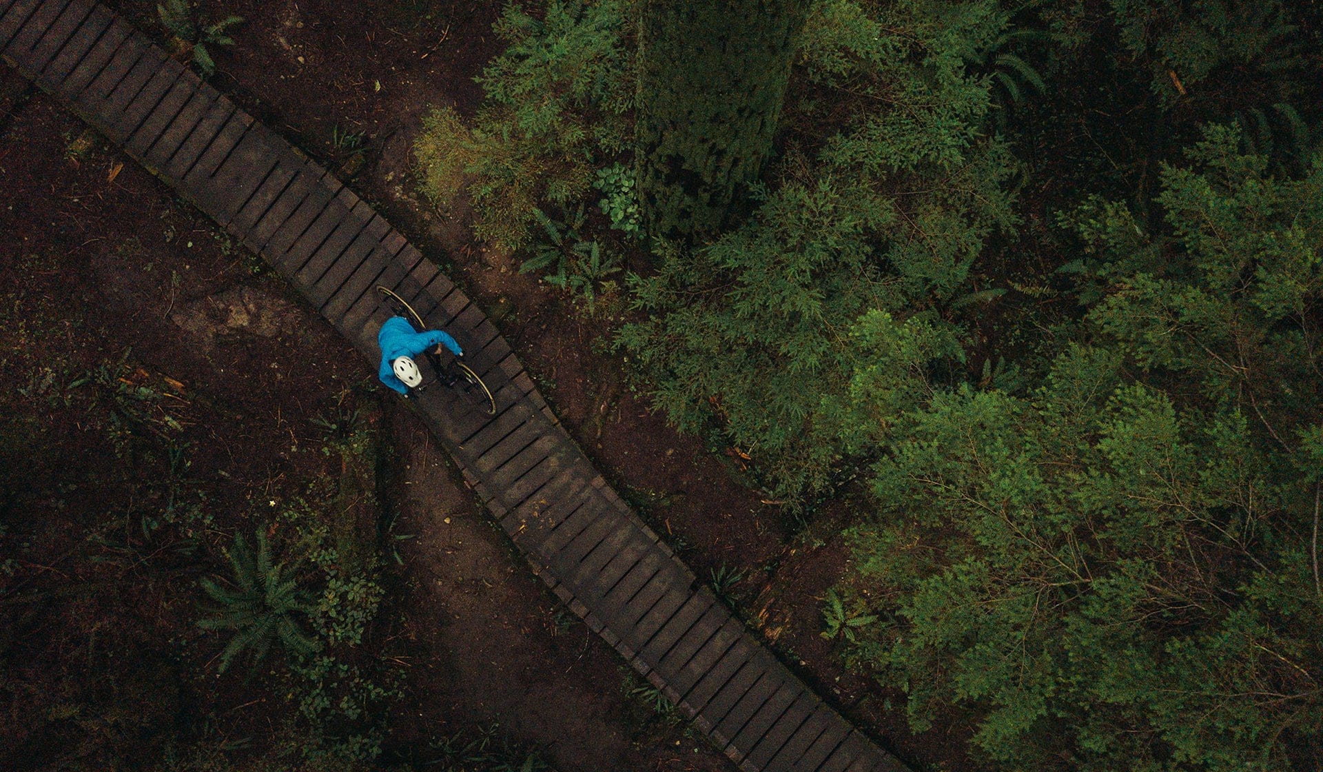 rocky mountain bikes fusion