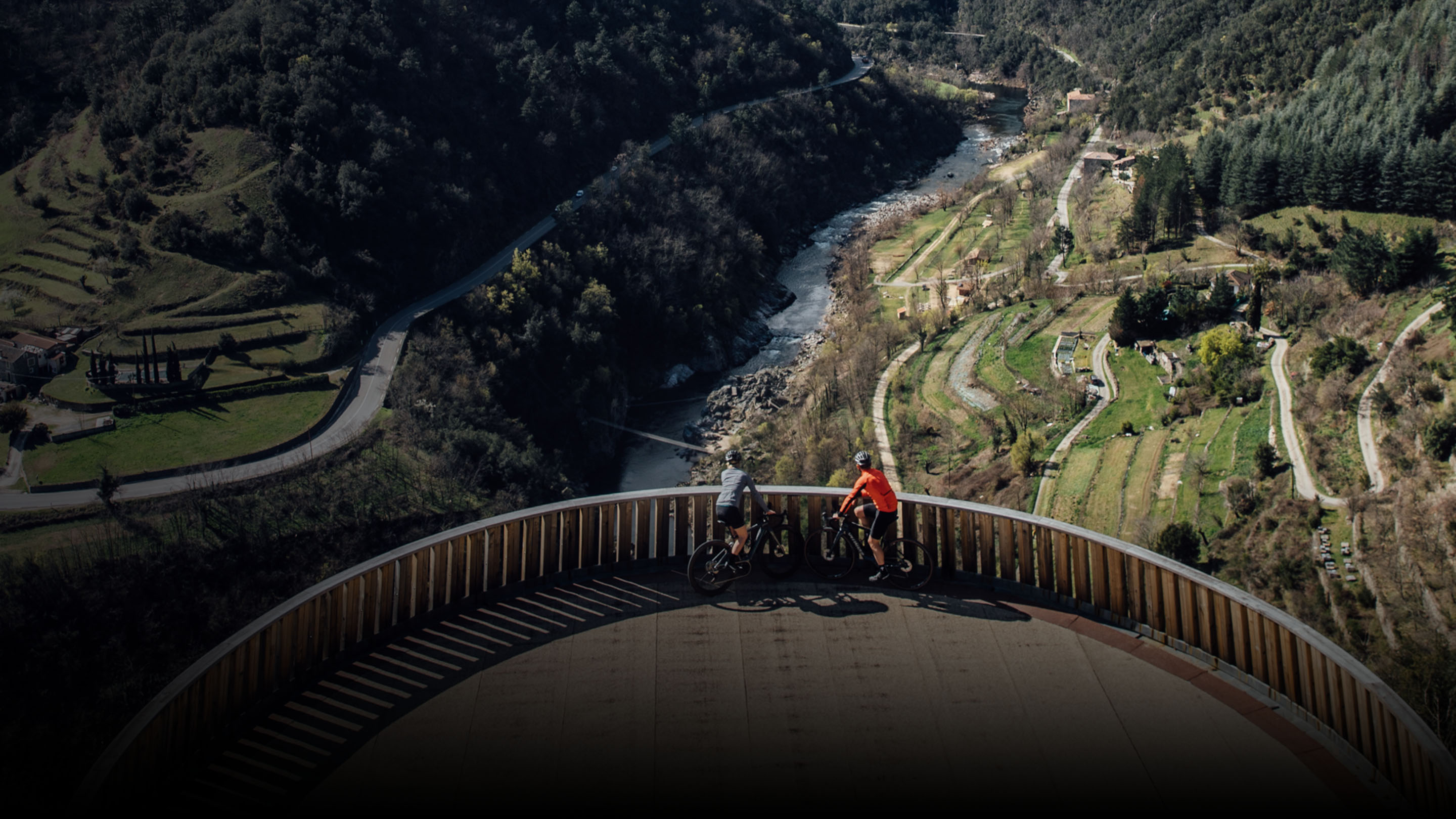 specialized bikes road