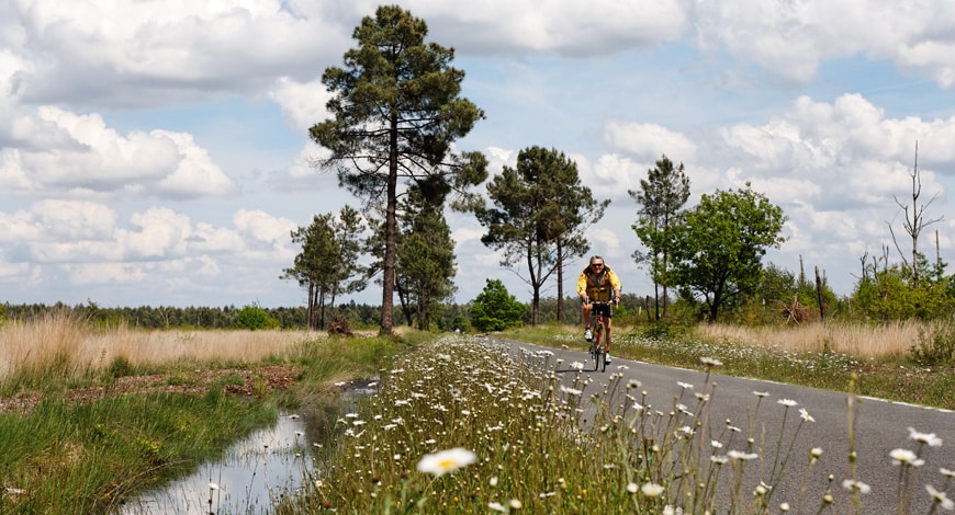 wayscral anyway e100 picture.jpeg